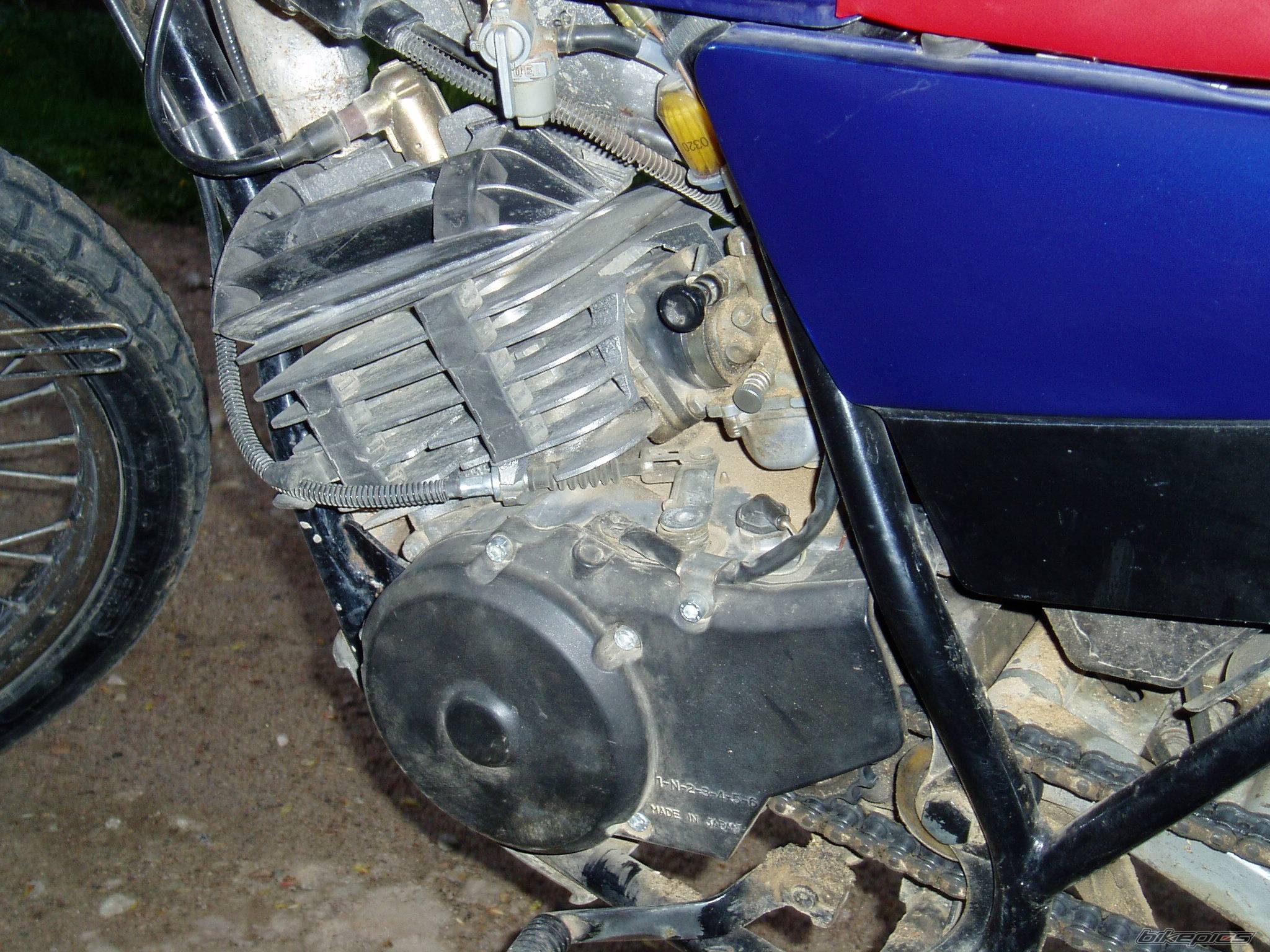 Photo 156217