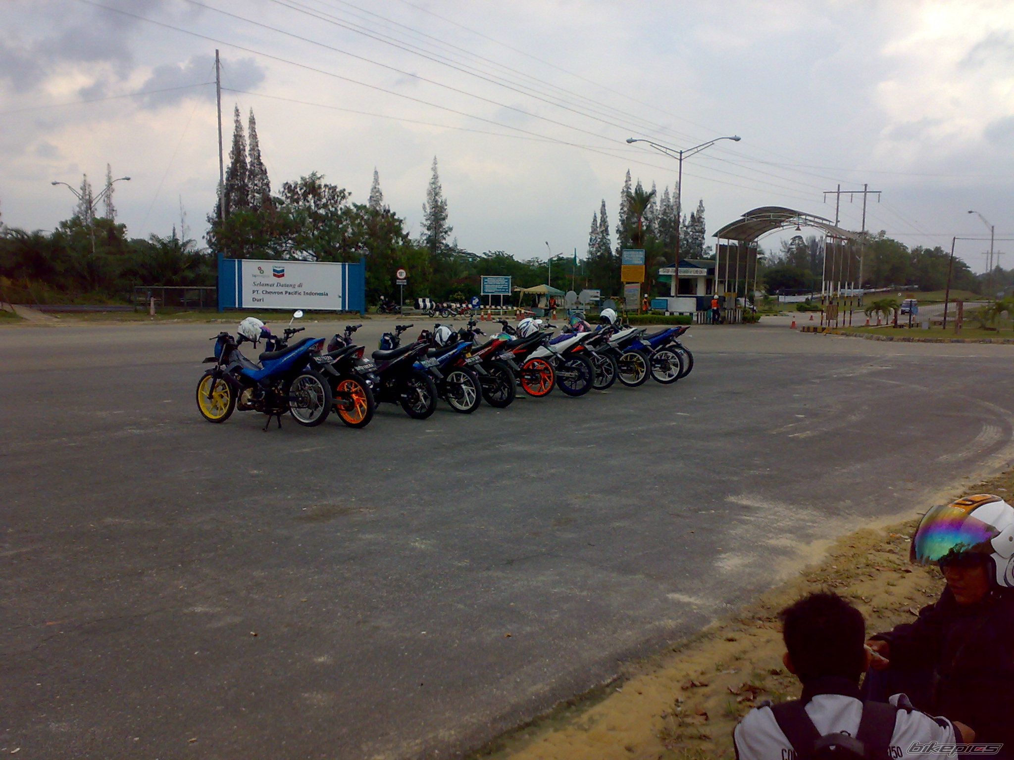 Photo 1562215