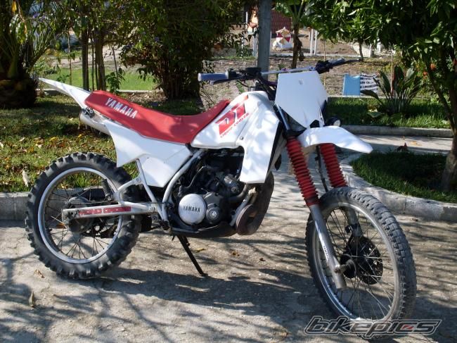 Bike Photo 1562231