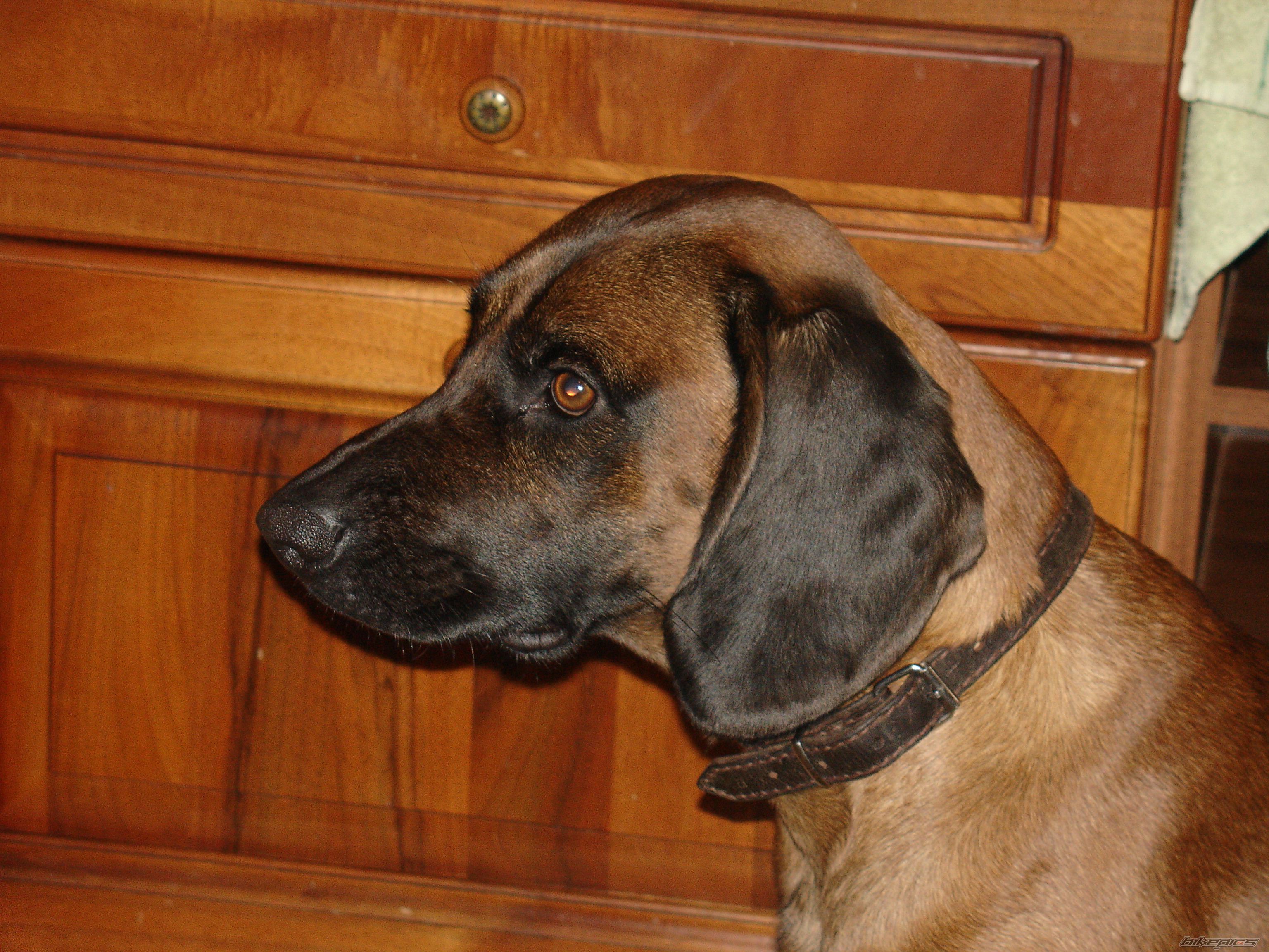 Photo 1562232