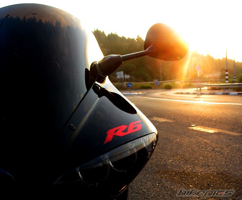 Photo 1562278