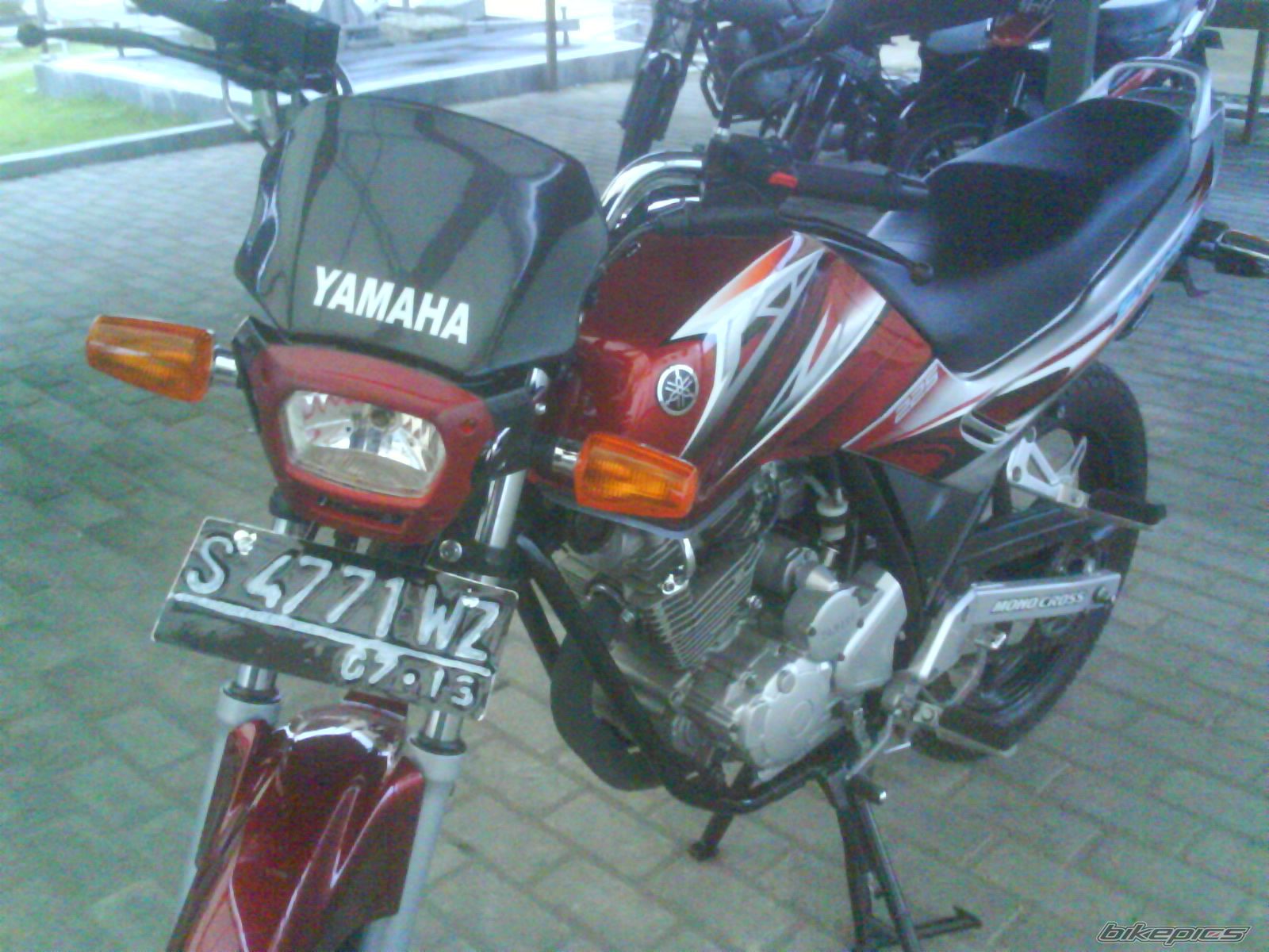 Photo 1562298