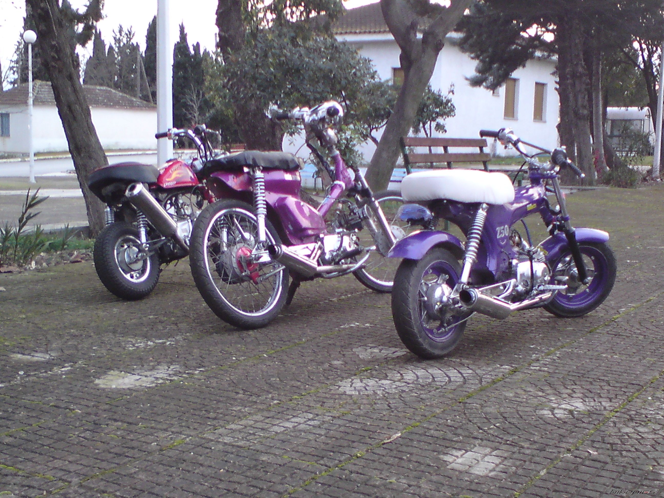 Photo 1562314