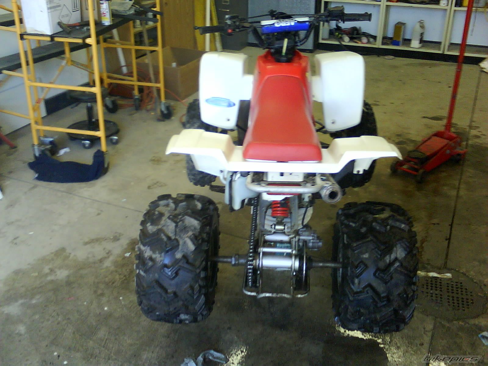 Photo 1562327