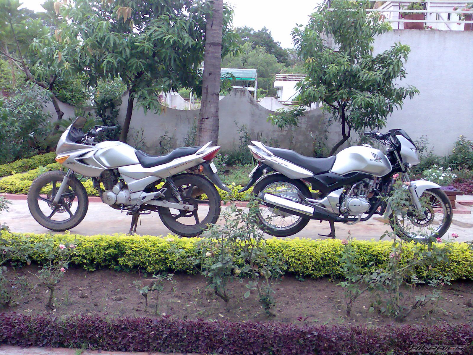 Photo 1562435