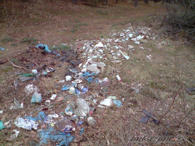 Photo 1562497