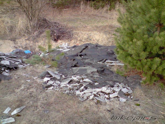 Photo 1562498
