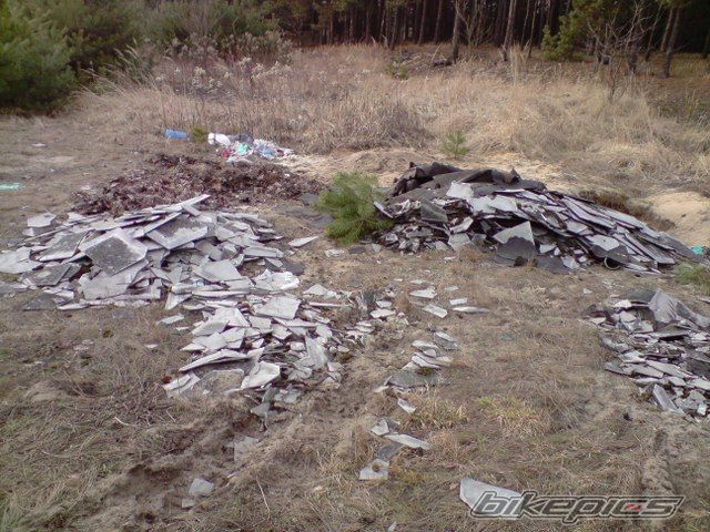 Photo 1562502