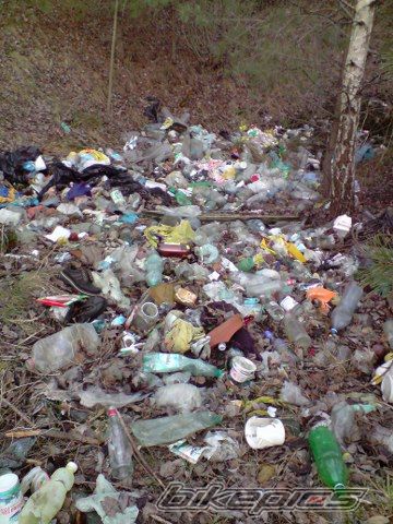 Photo 1562505