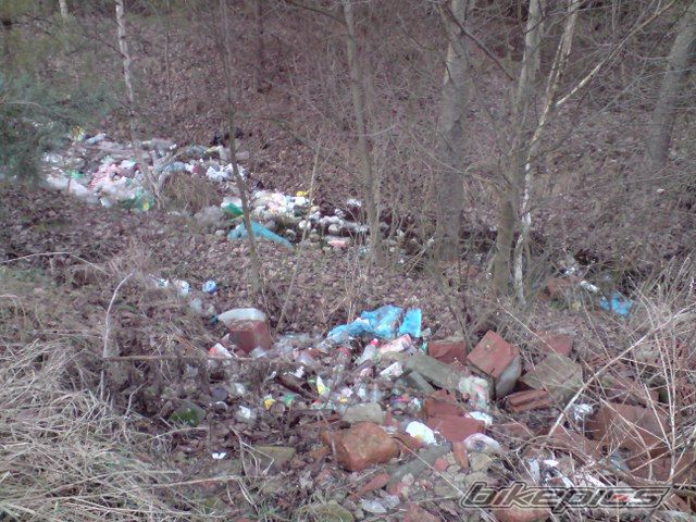 Photo 1562513