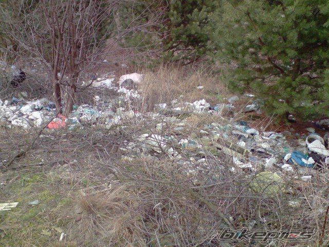 Photo 1562519