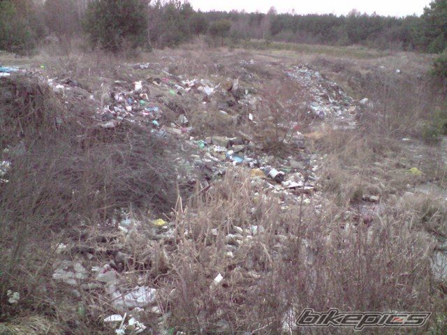 Photo 1562525