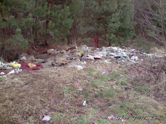 Photo 1562528
