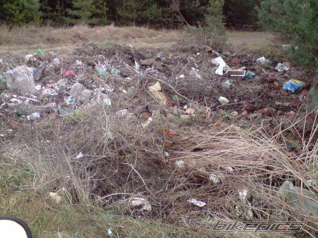 Photo 1562533