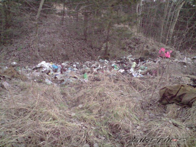 Photo 1562538