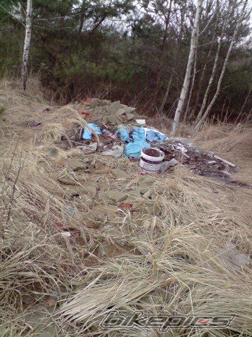 Photo 1562541