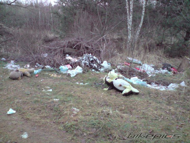 Photo 1562549