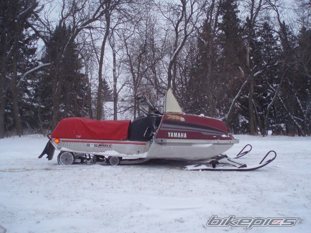 Photo 1562551