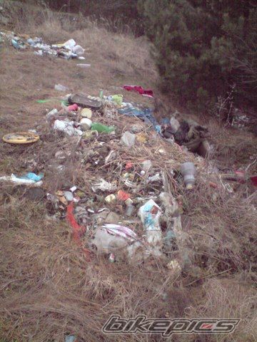 Photo 1562553