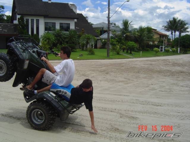 Photo 156271