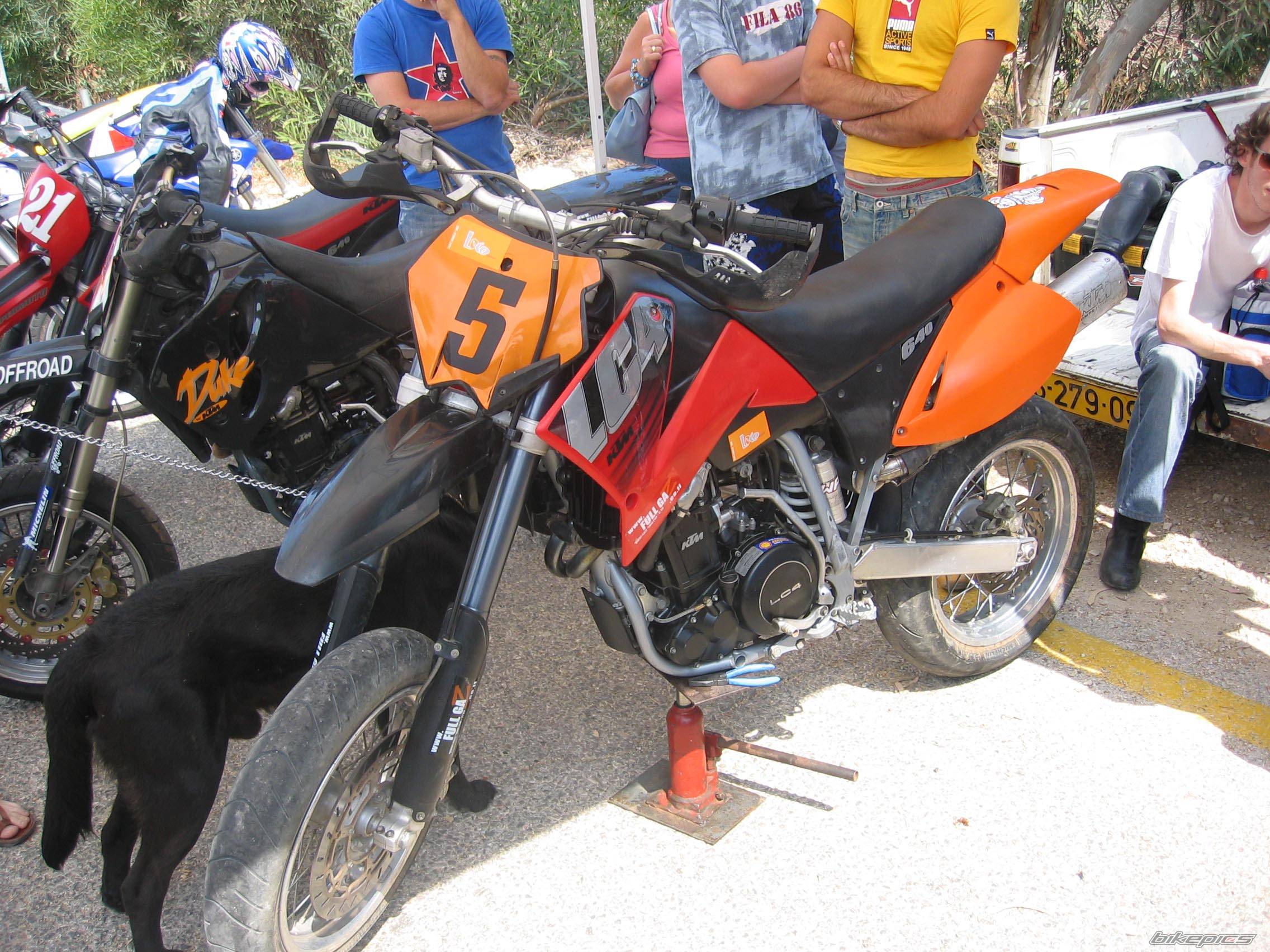 Photo 156273