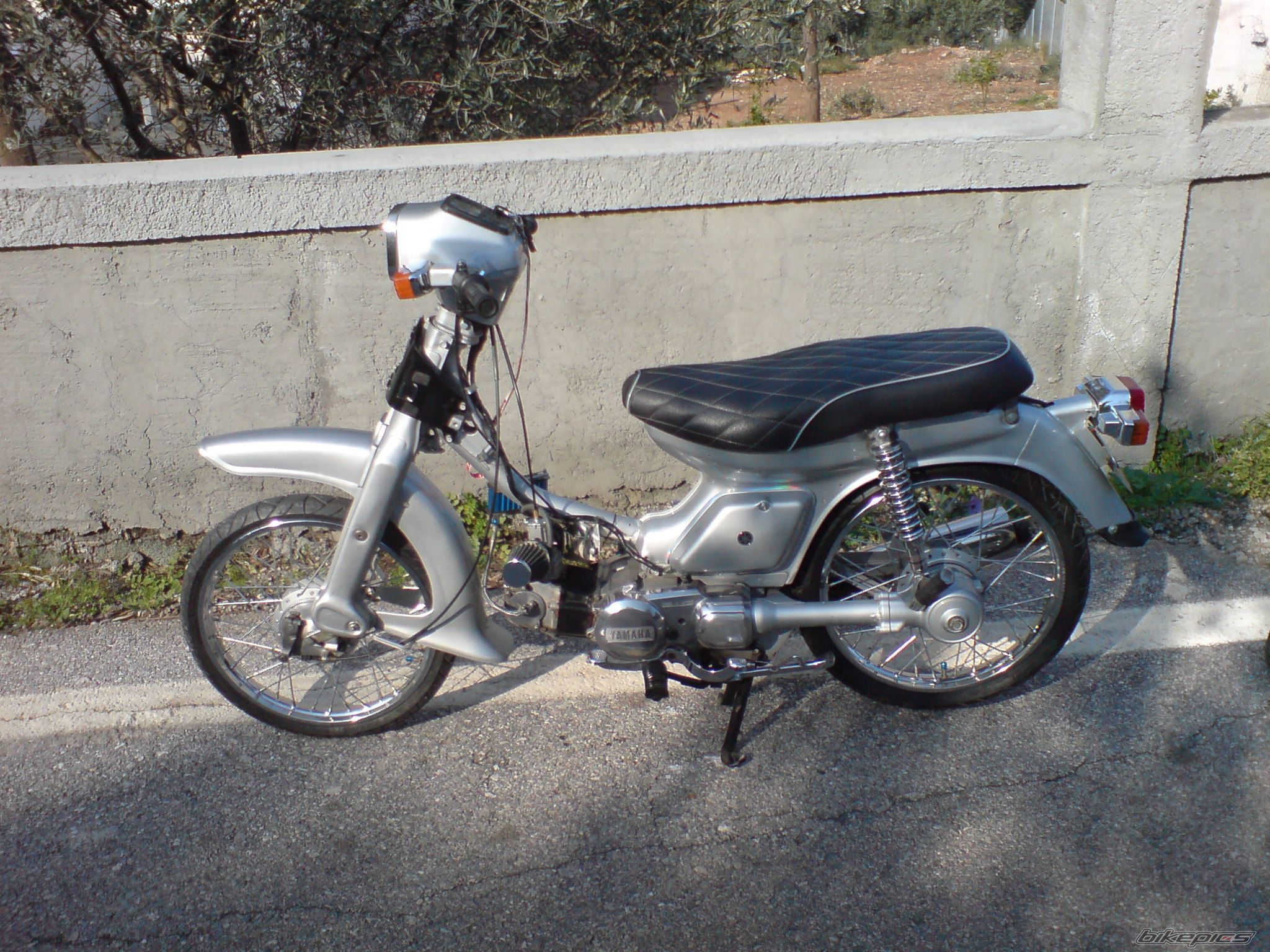 Photo 1562733