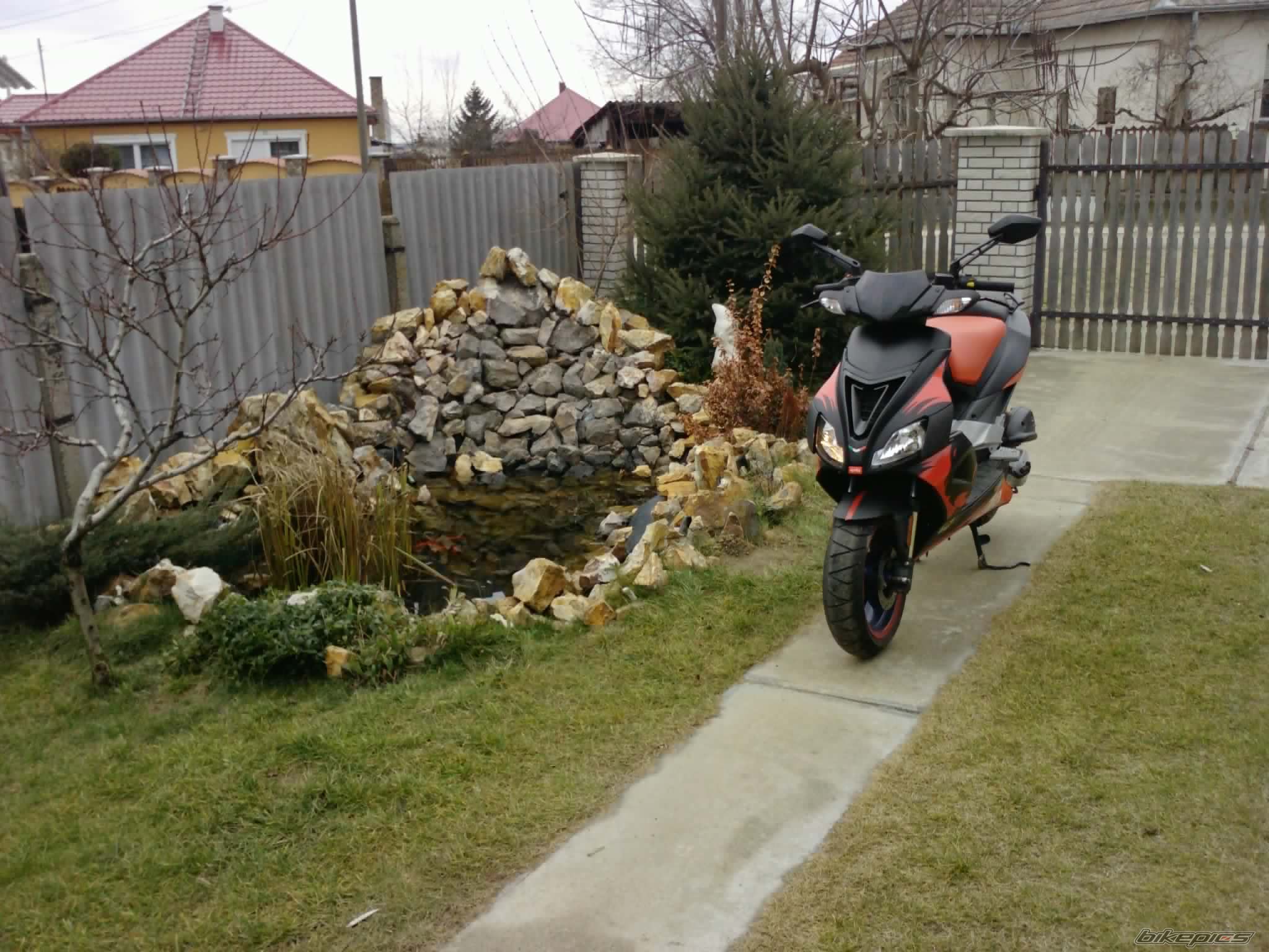 Photo 1562738