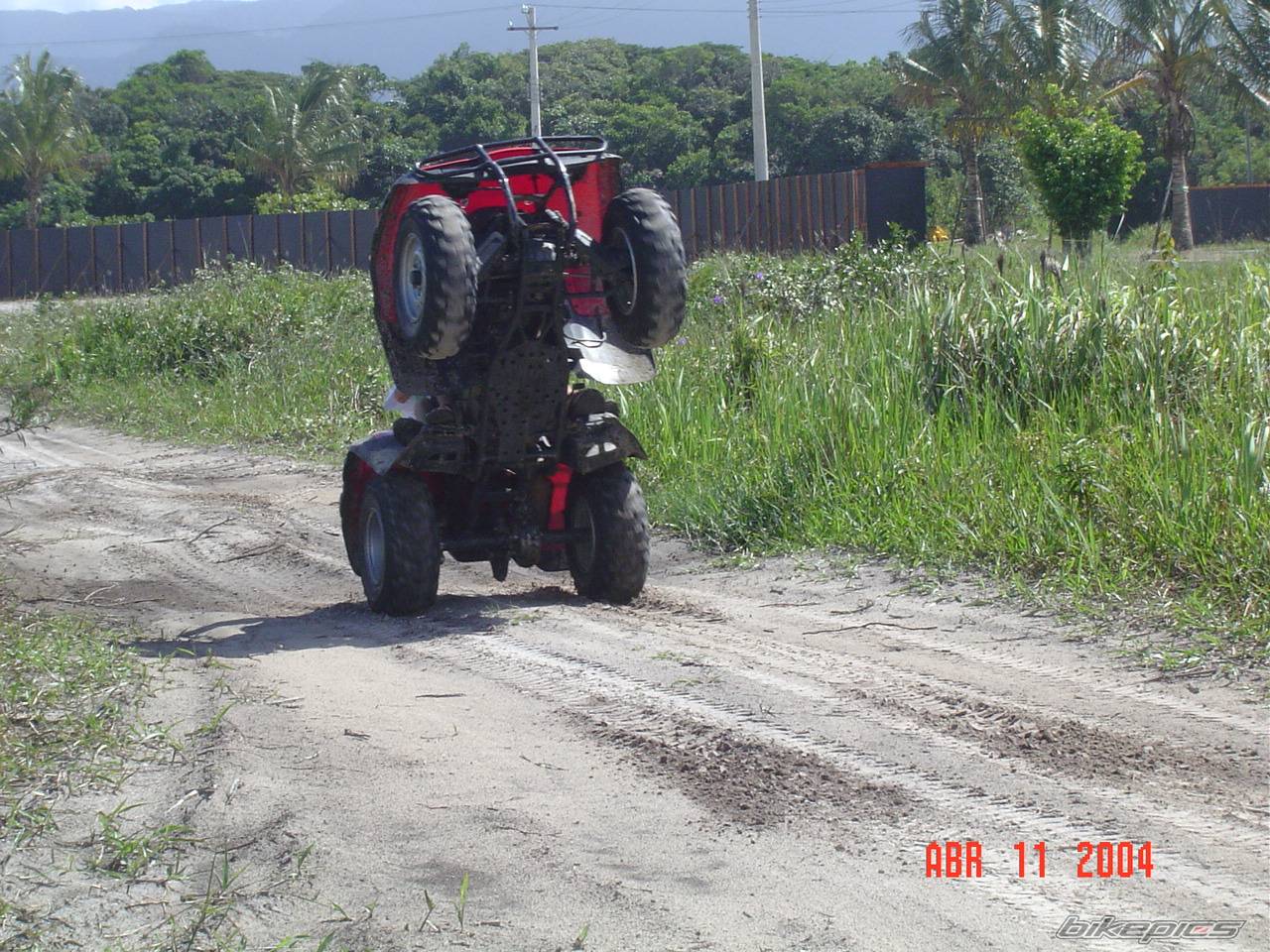 Photo 156276