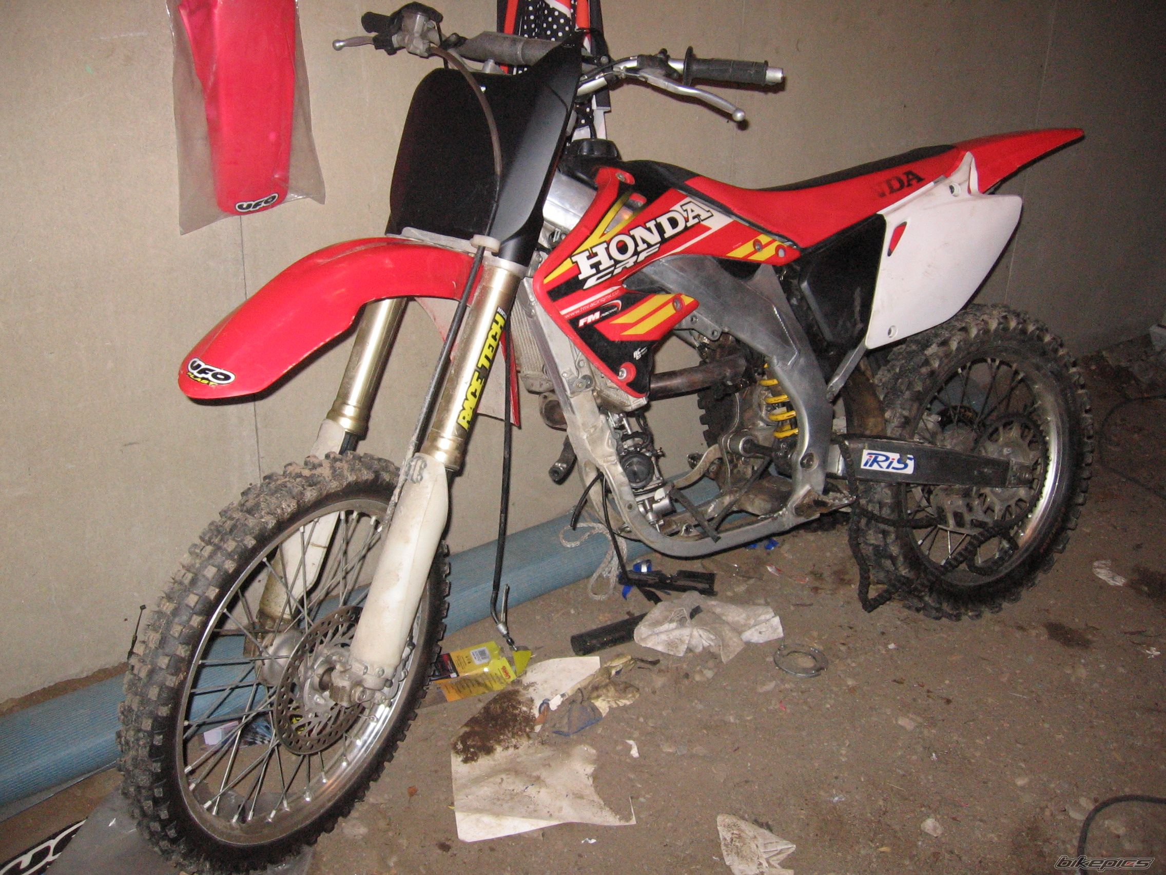 Photo 1562765