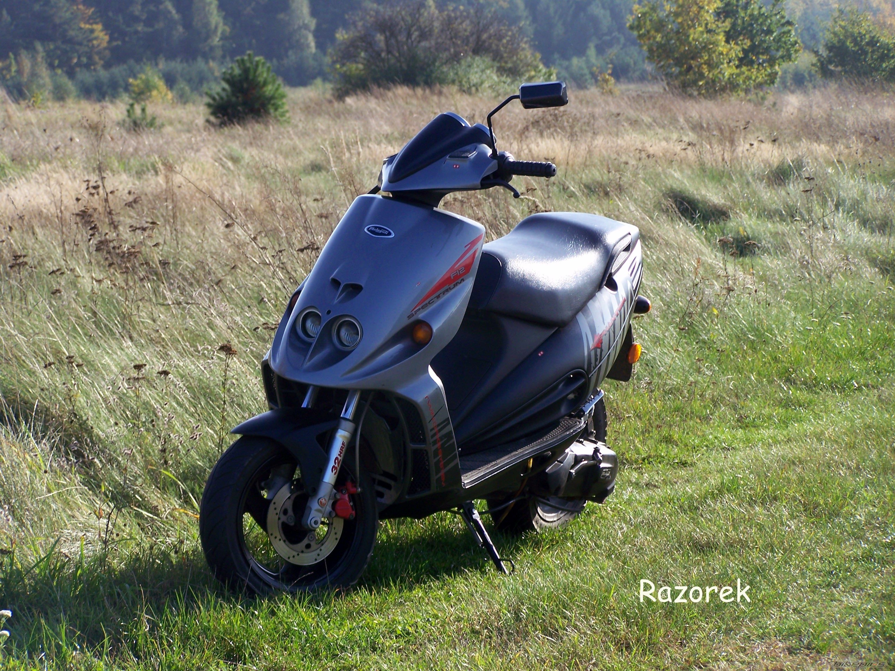 Photo 1562943