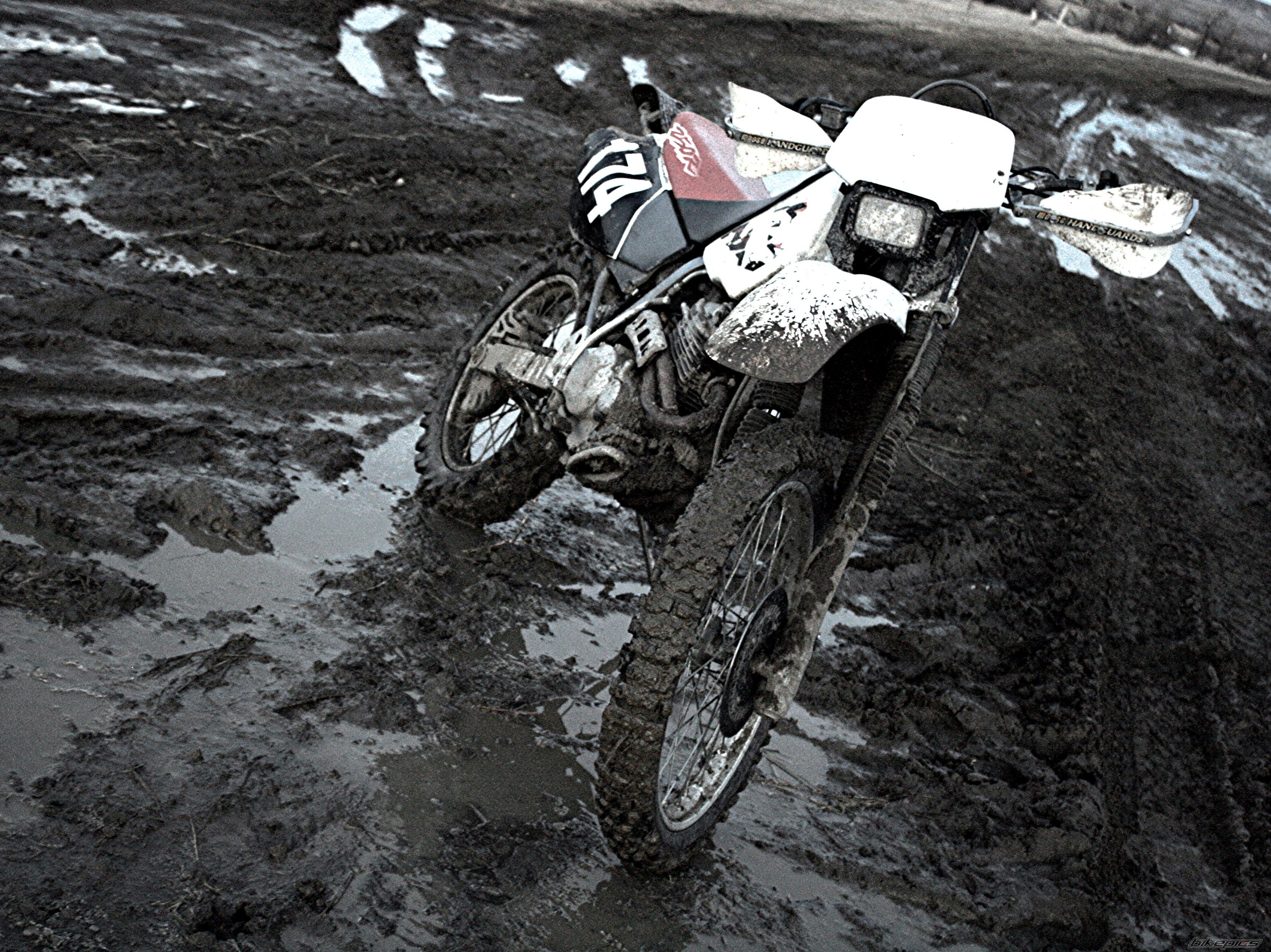 Bike Photo 1562997