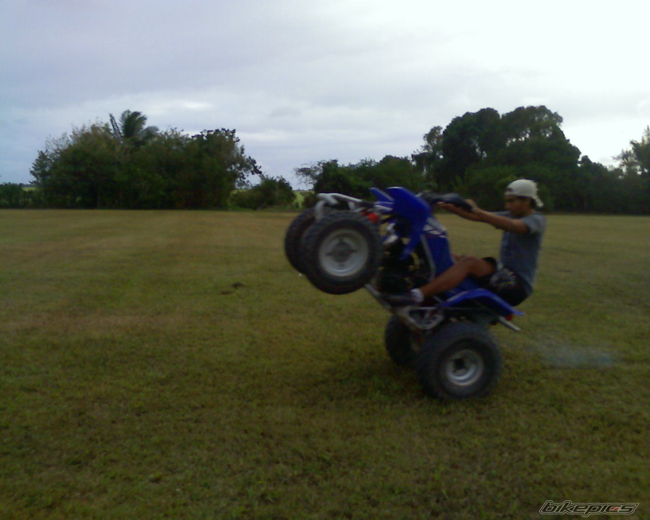 Photo 1563003