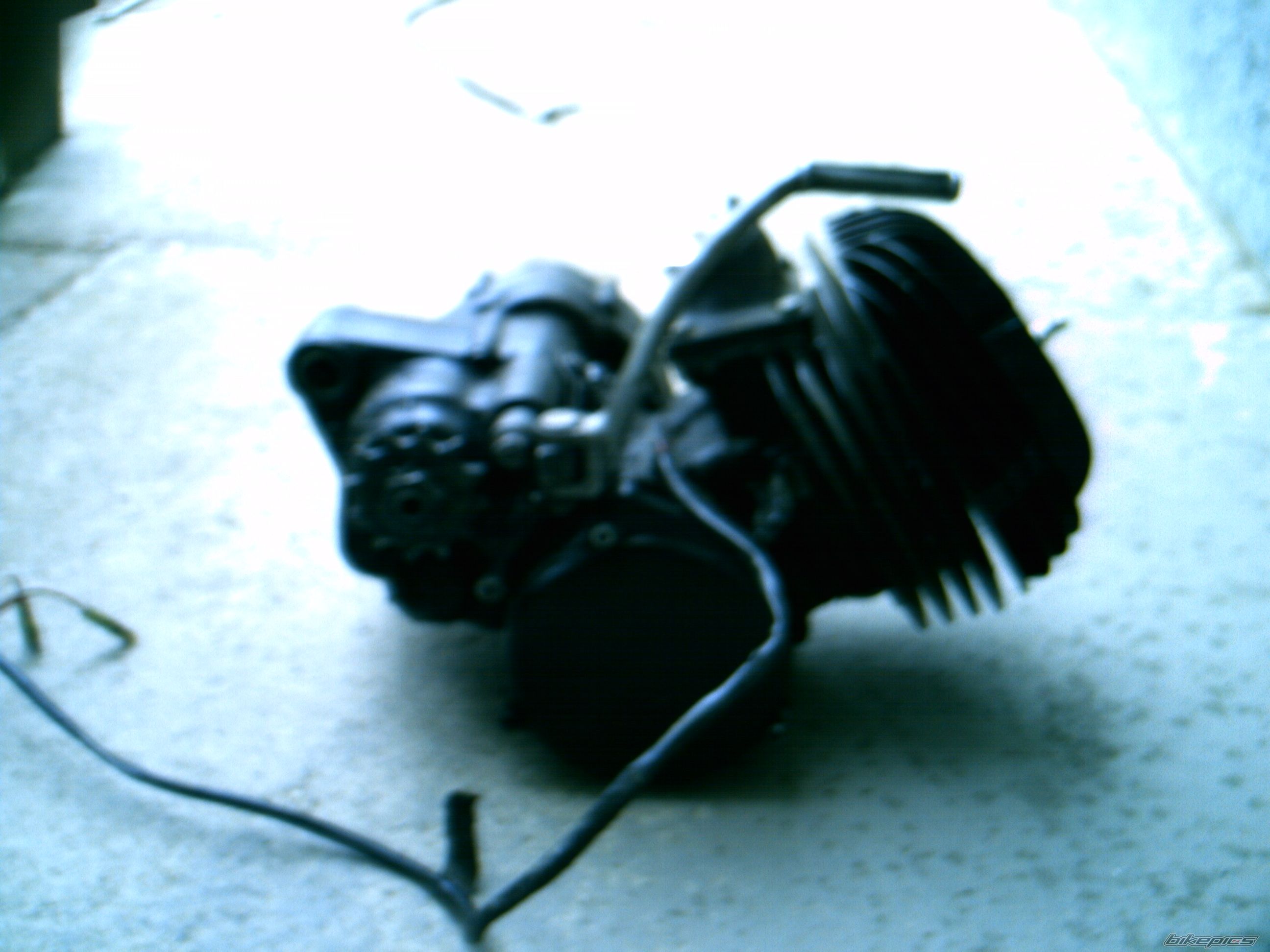 Photo 1563018