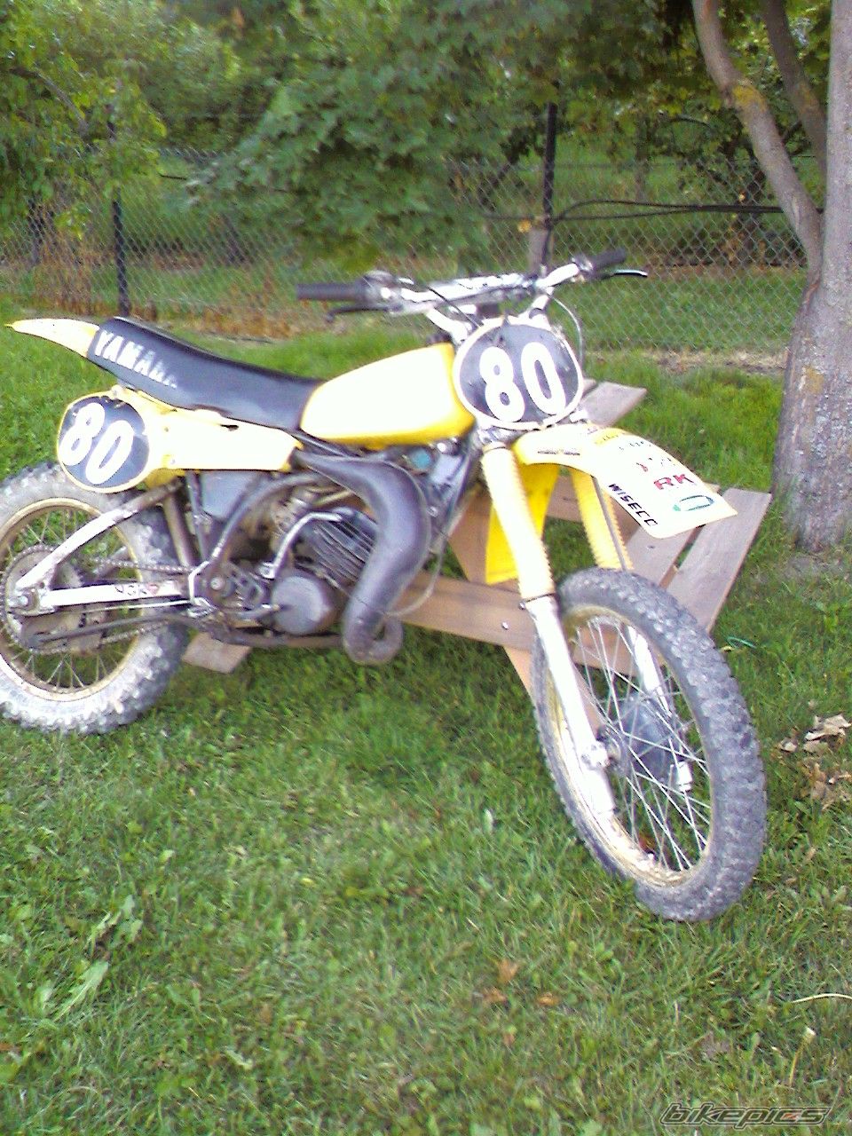 Photo 1563025