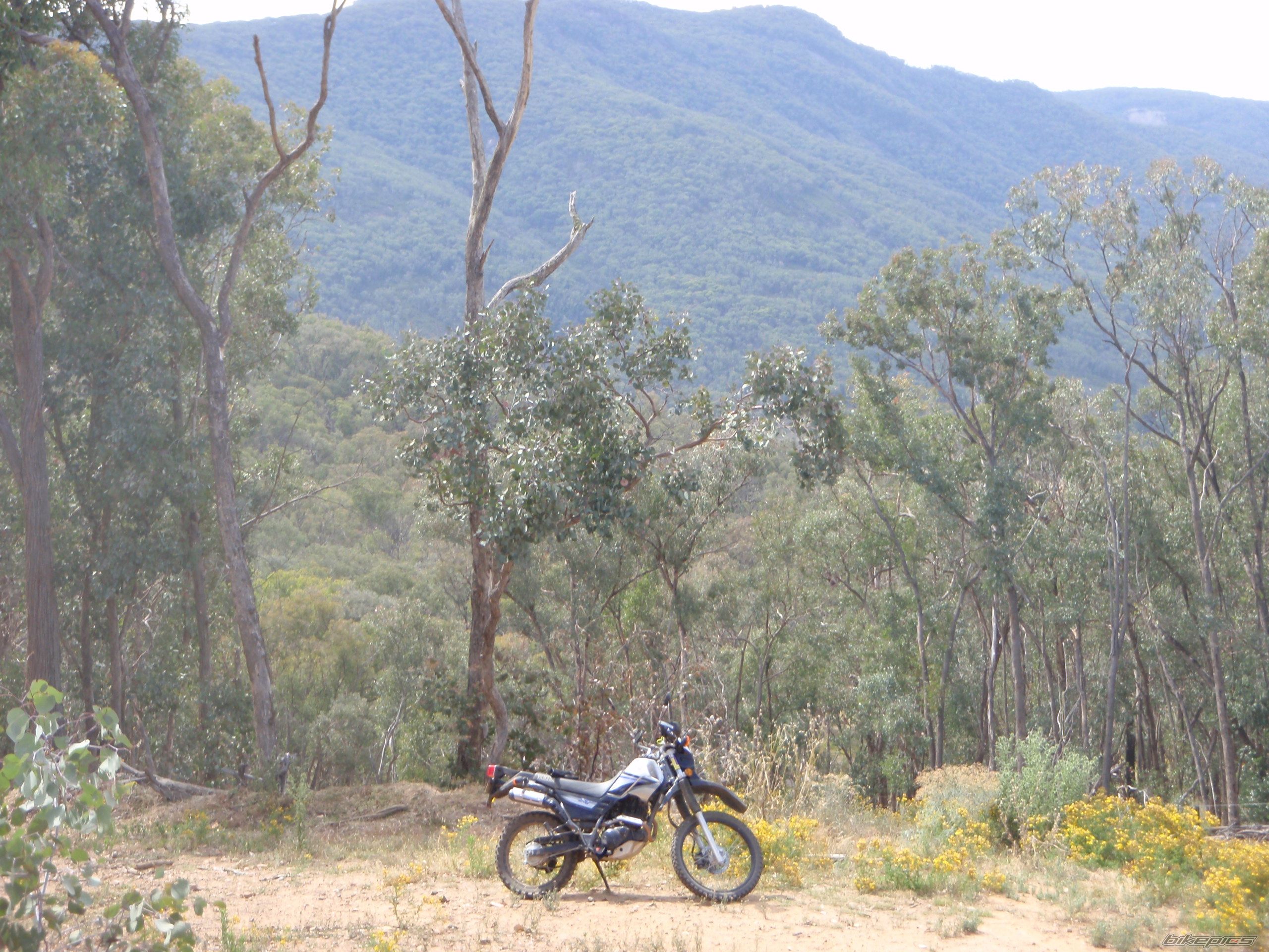 Photo 1563094