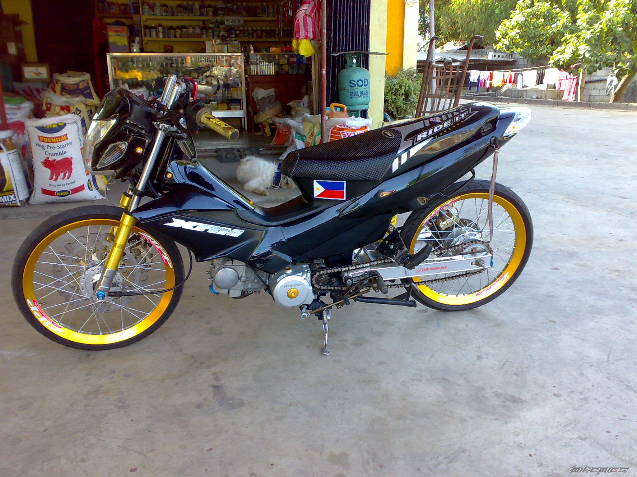 Photo 1563134