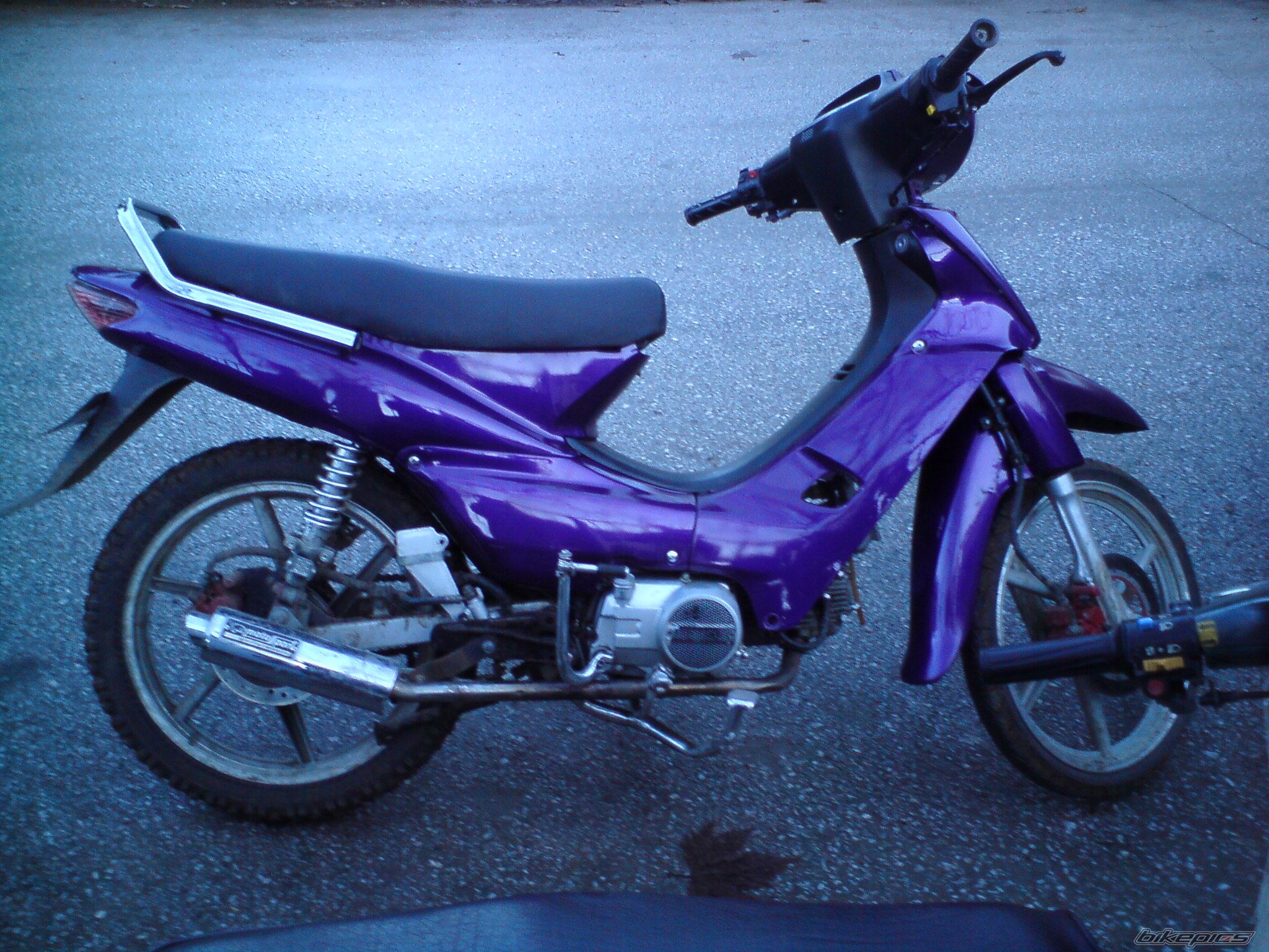 Photo 1563219