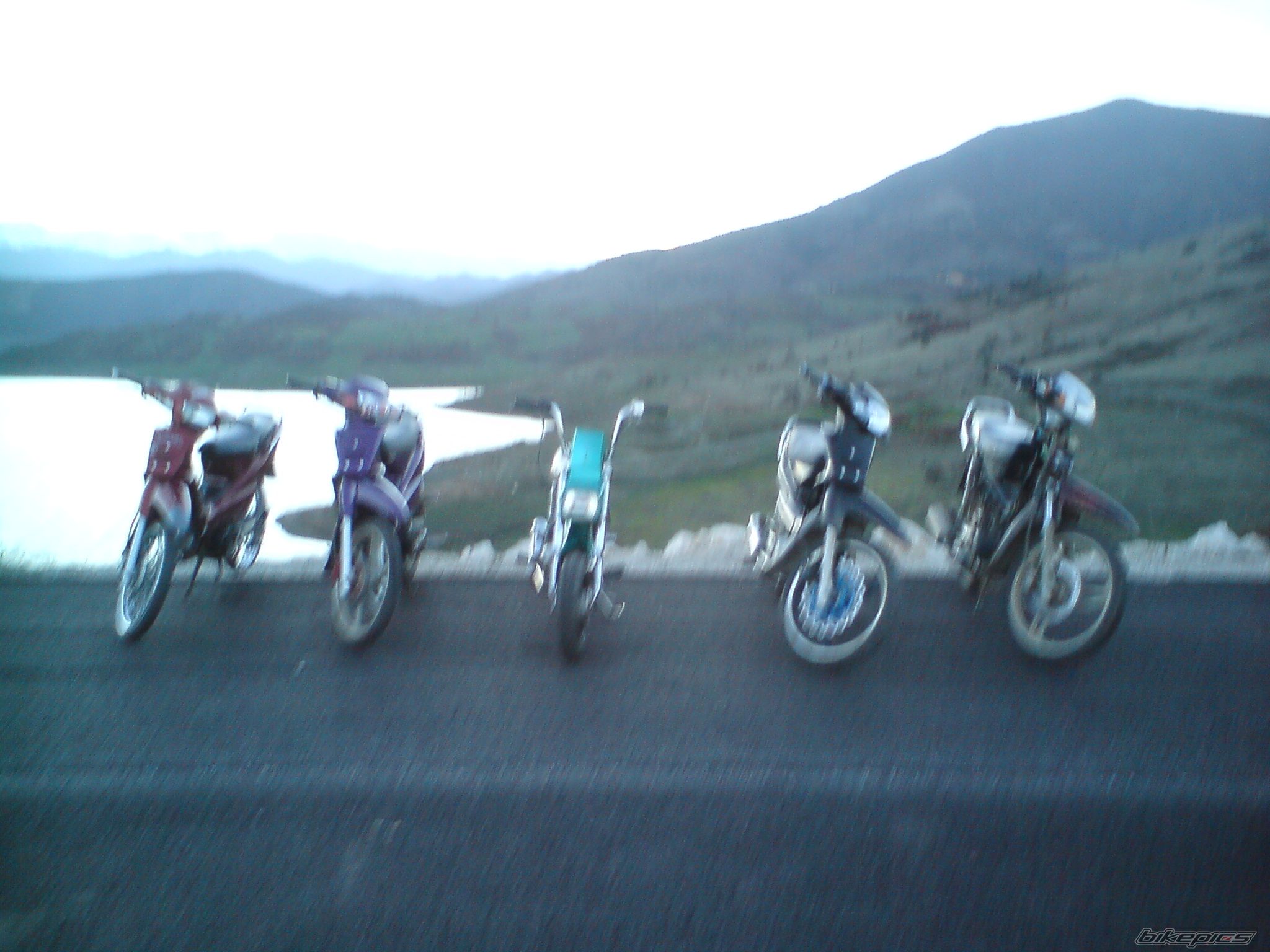 Photo 1563221