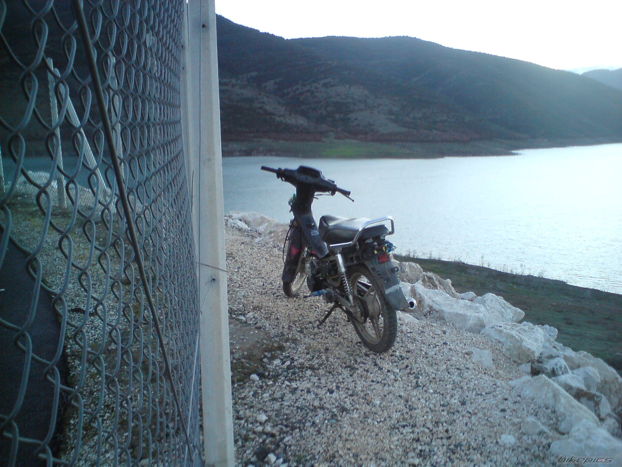 Photo 1563231