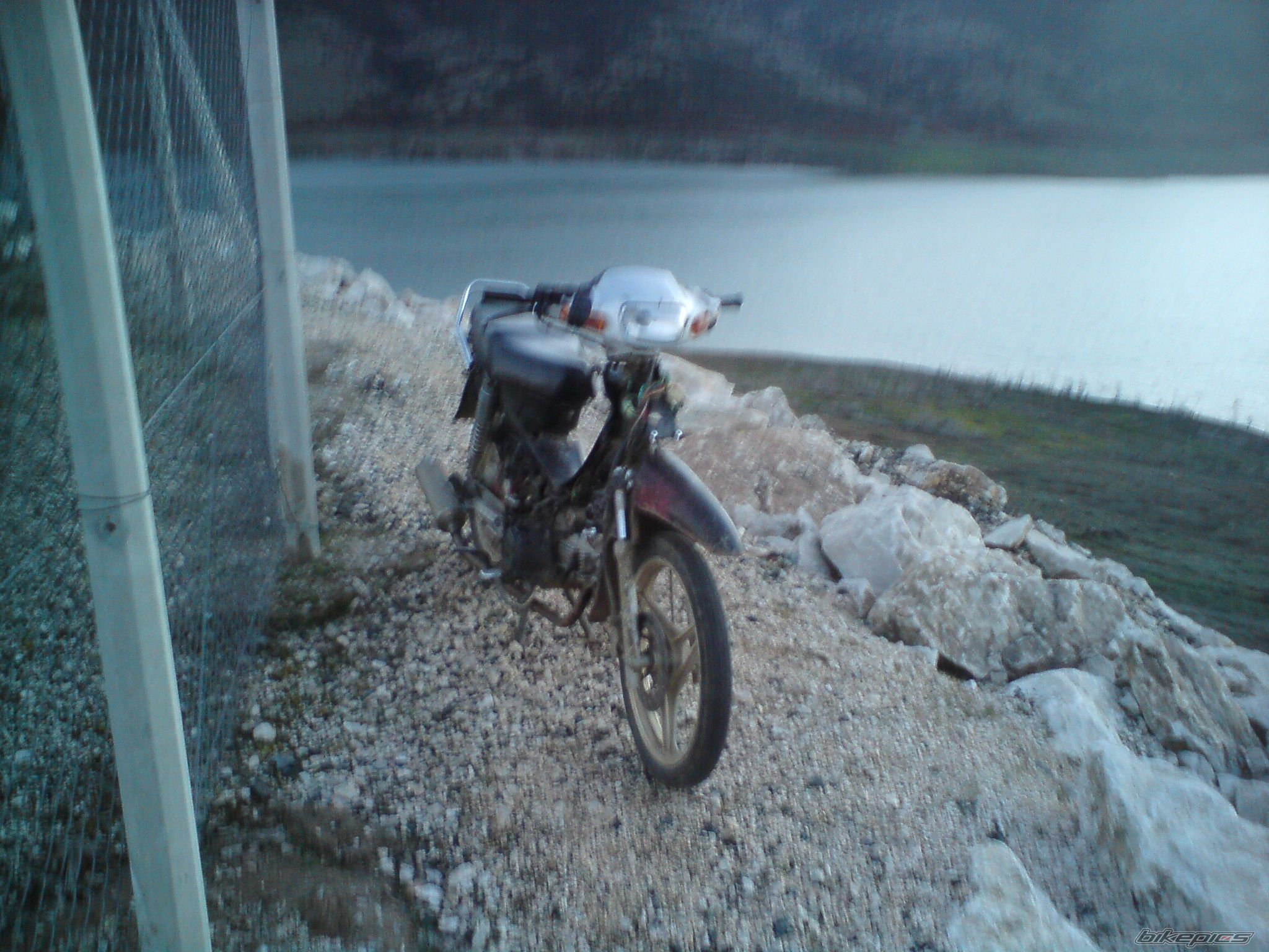 Photo 1563238