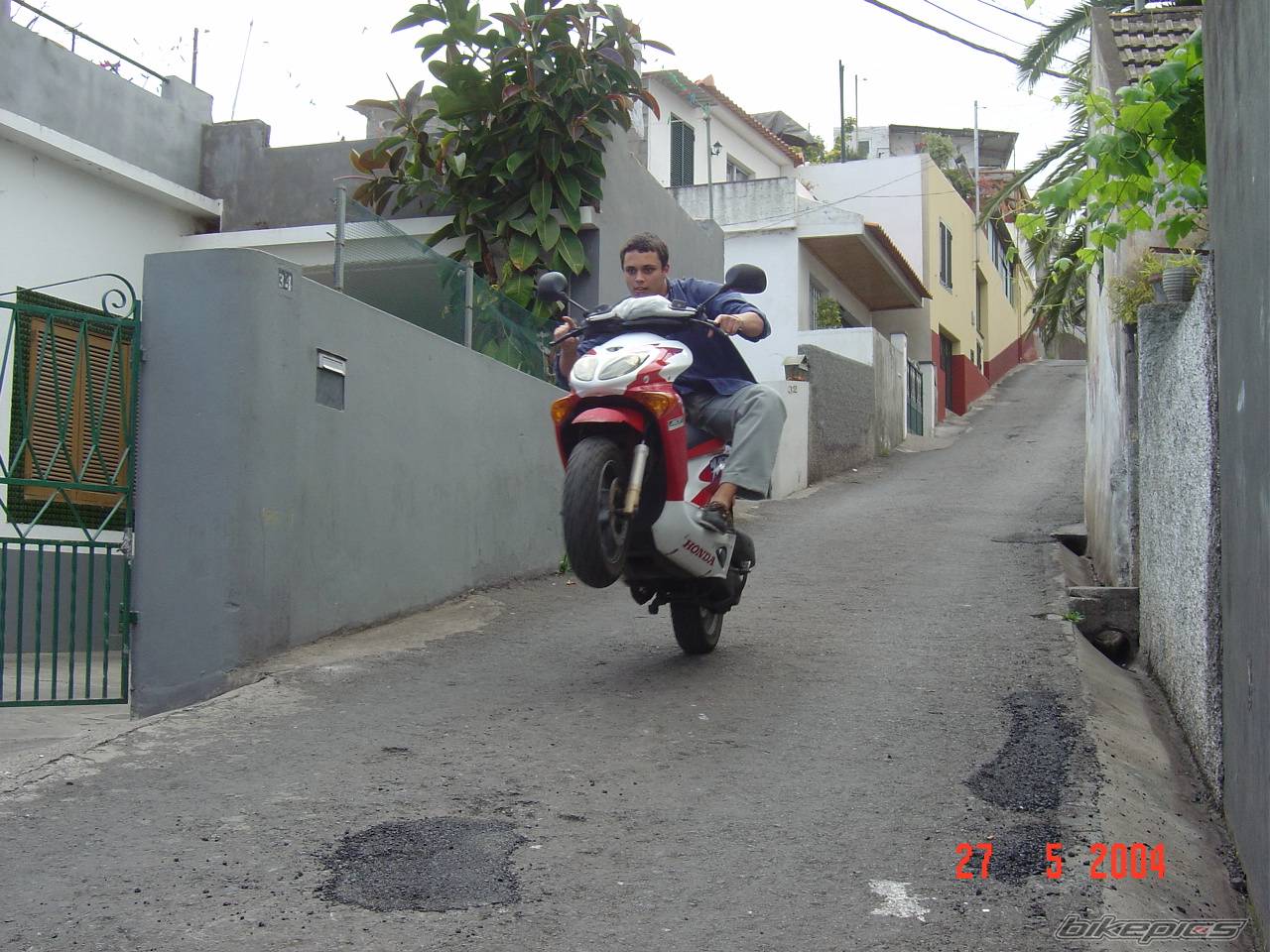 Photo 156325
