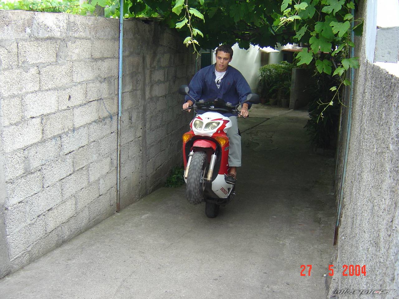 Photo 156326