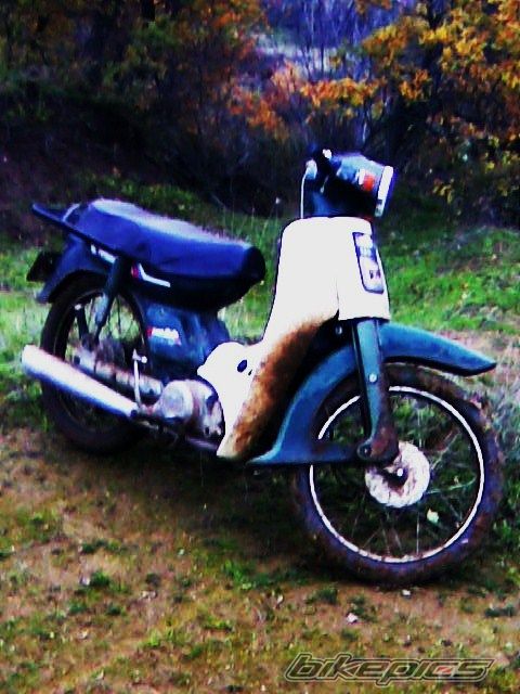 Photo 1563270