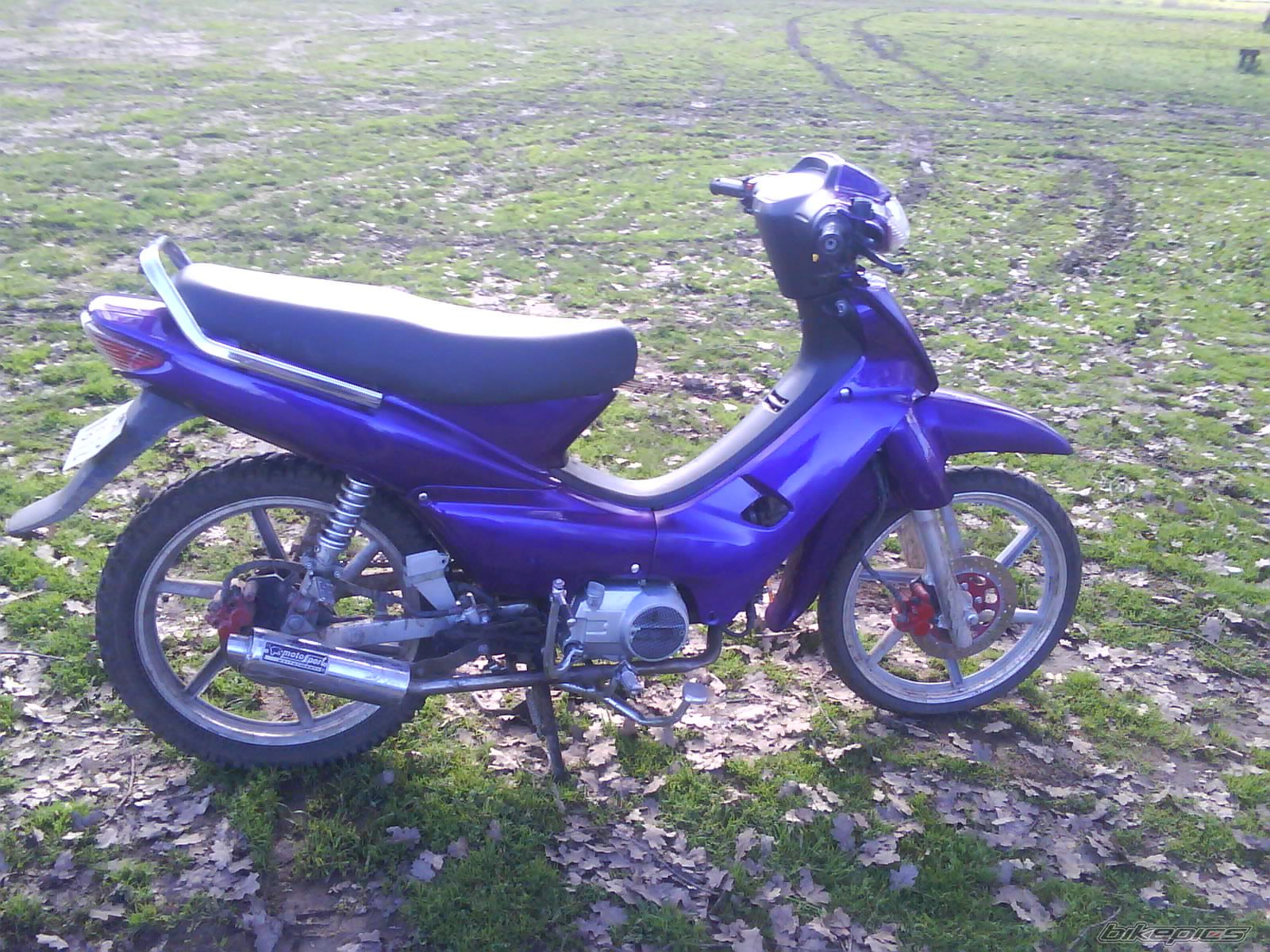 Photo 1563274