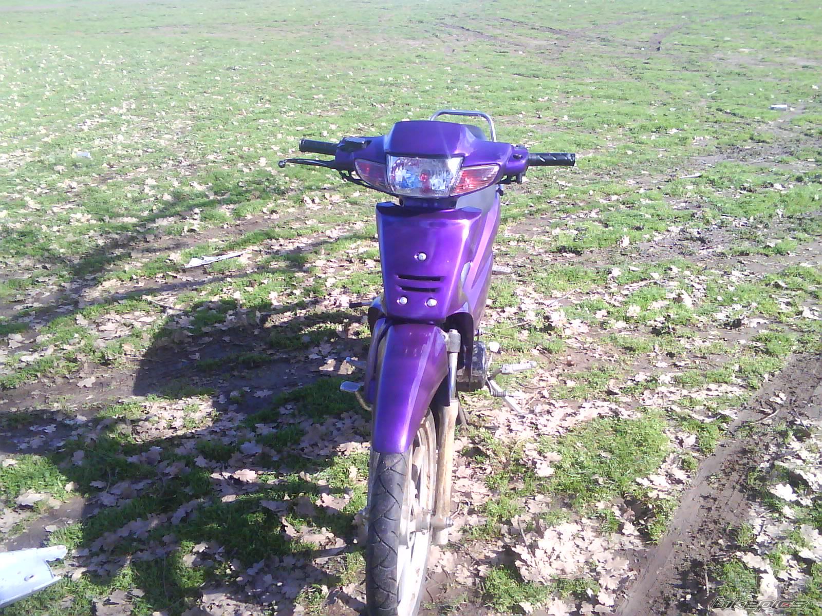 Photo 1563279