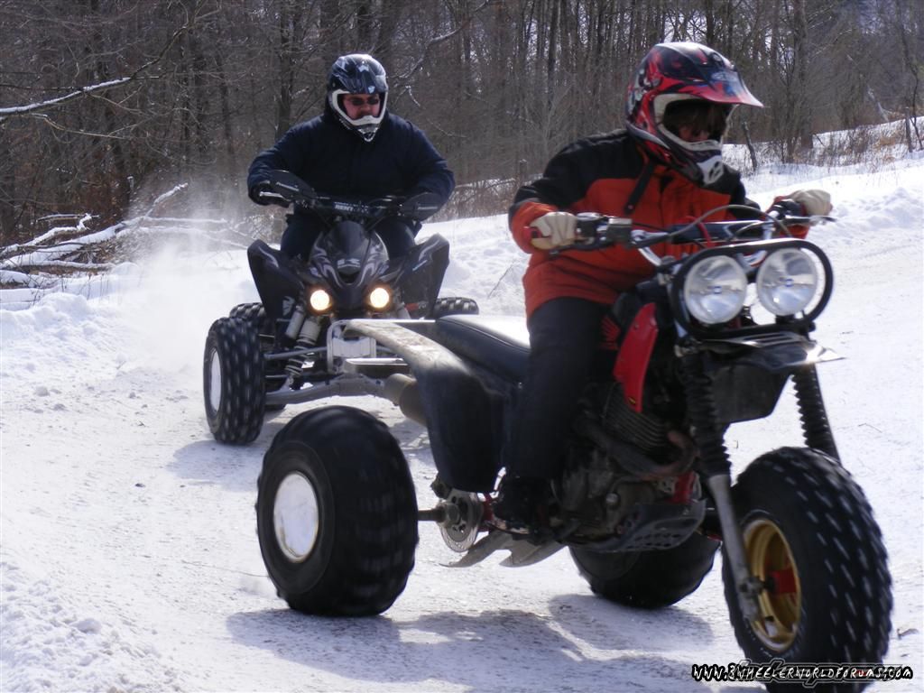 Photo 1563302