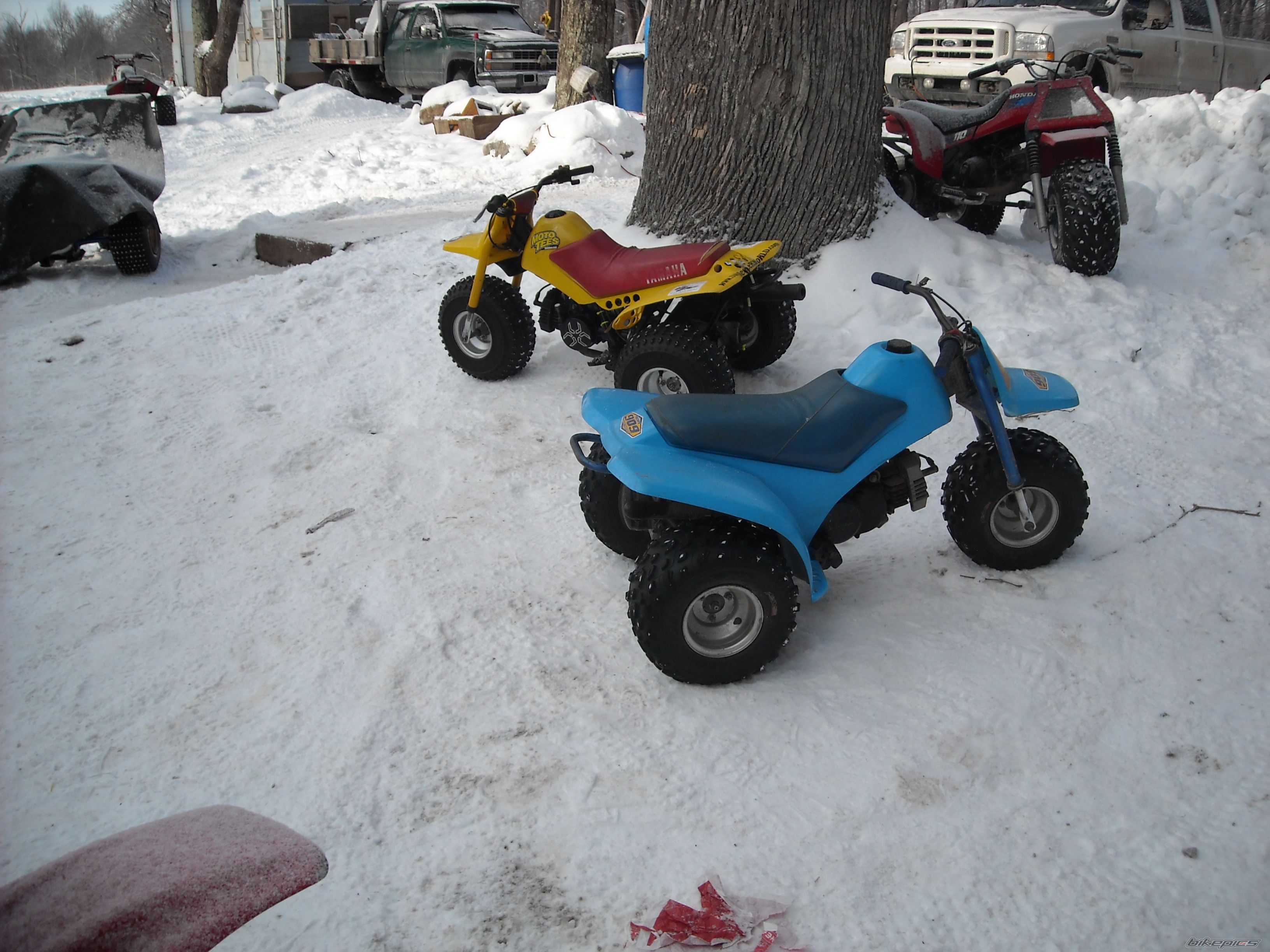 Photo 1563314