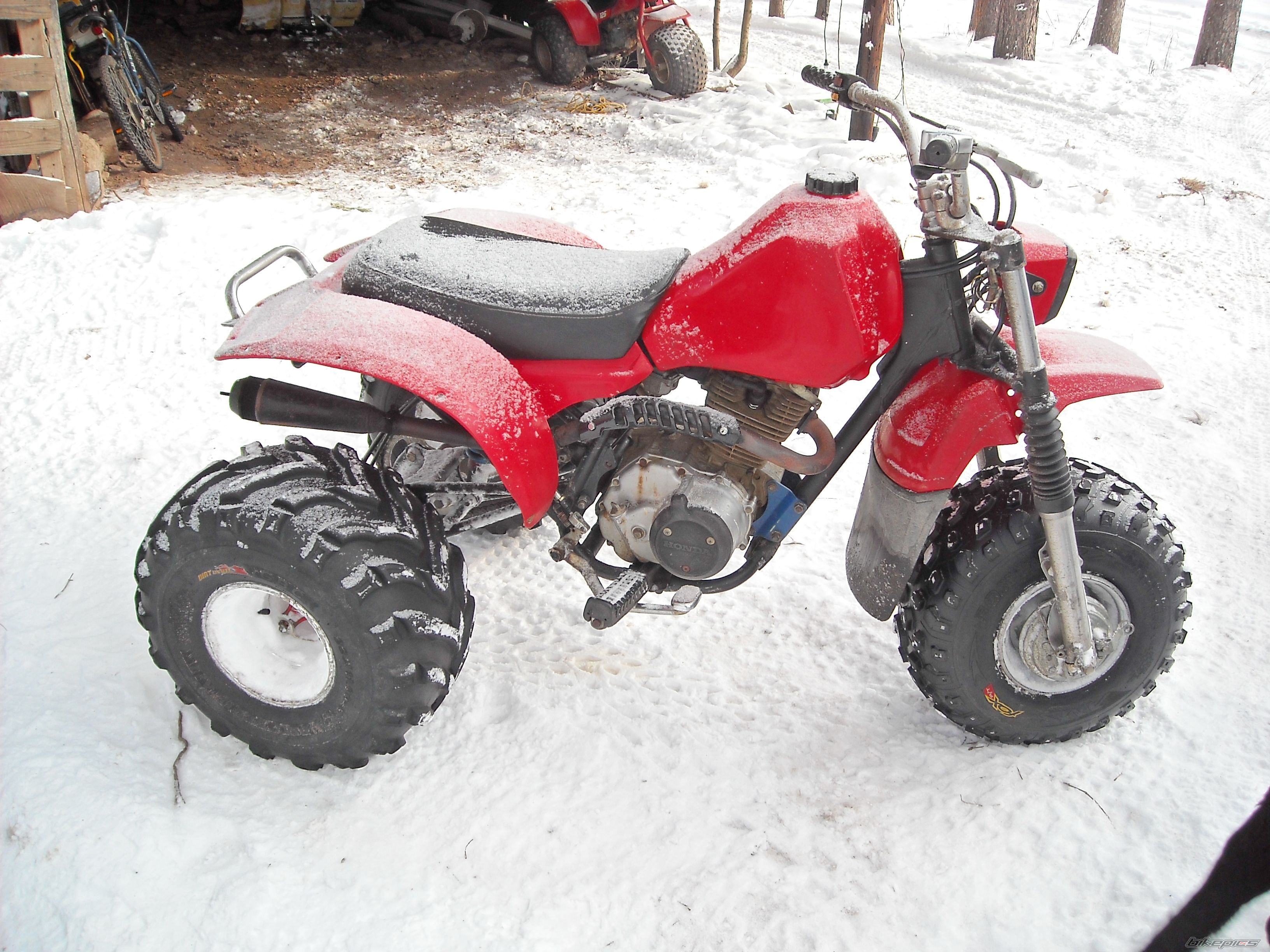 Photo 1563315
