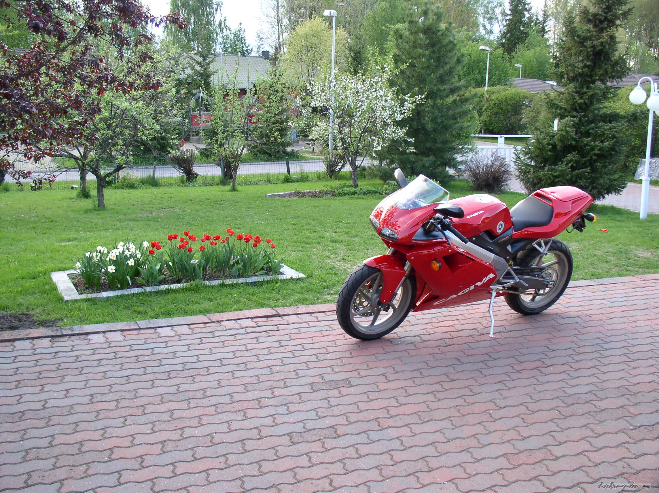 Photo 156333