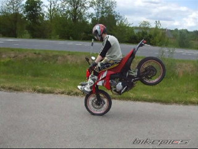Photo 1563368